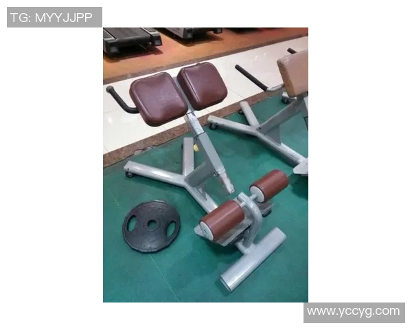 练后背的健身器材推荐与使用方法：如何通过器材锻炼背部肌肉