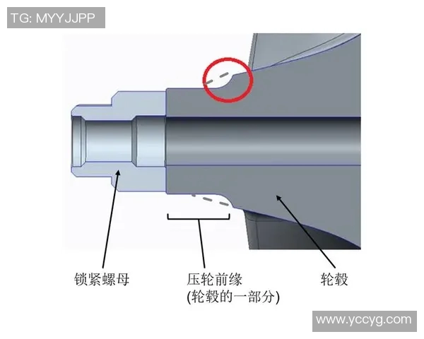现代渔具创新与发展趋势探析：科技引领下的钓鱼装备升级之路